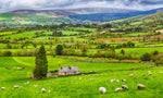 8-Day Ireland Vacation